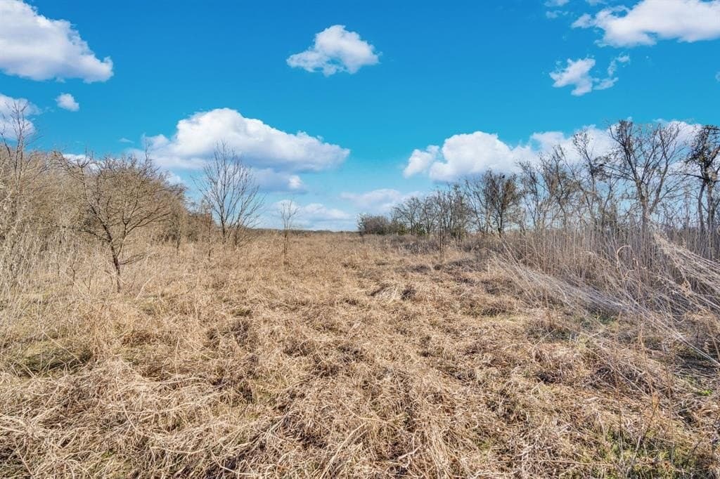 38.5 acres in Ellis County - photo 3