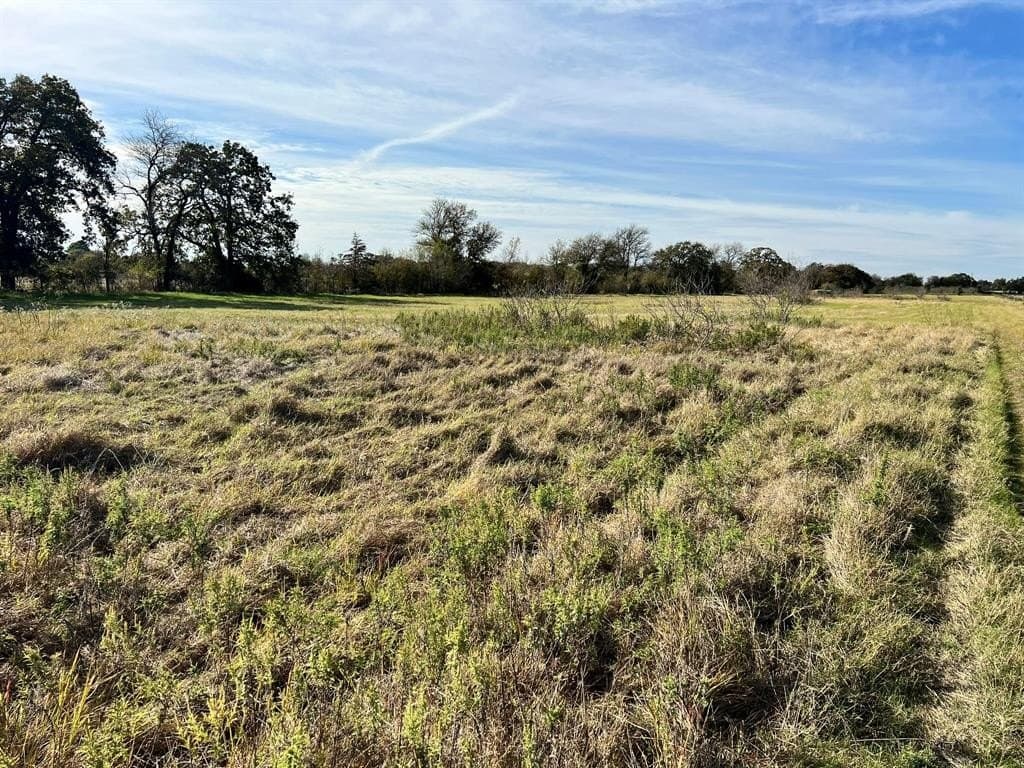 10.49 acres in McLennan County - photo 14