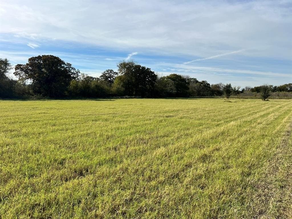10.49 acres in McLennan County - photo 8
