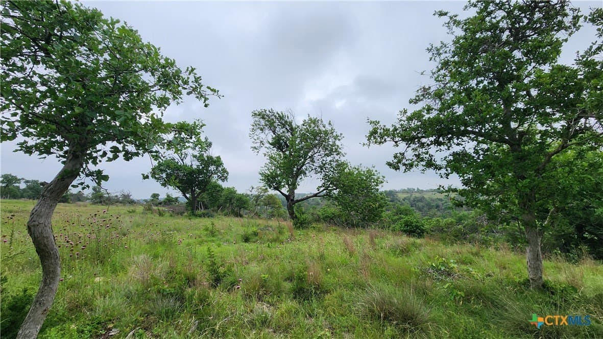 5.23 acres in Gillespie County - photo 4