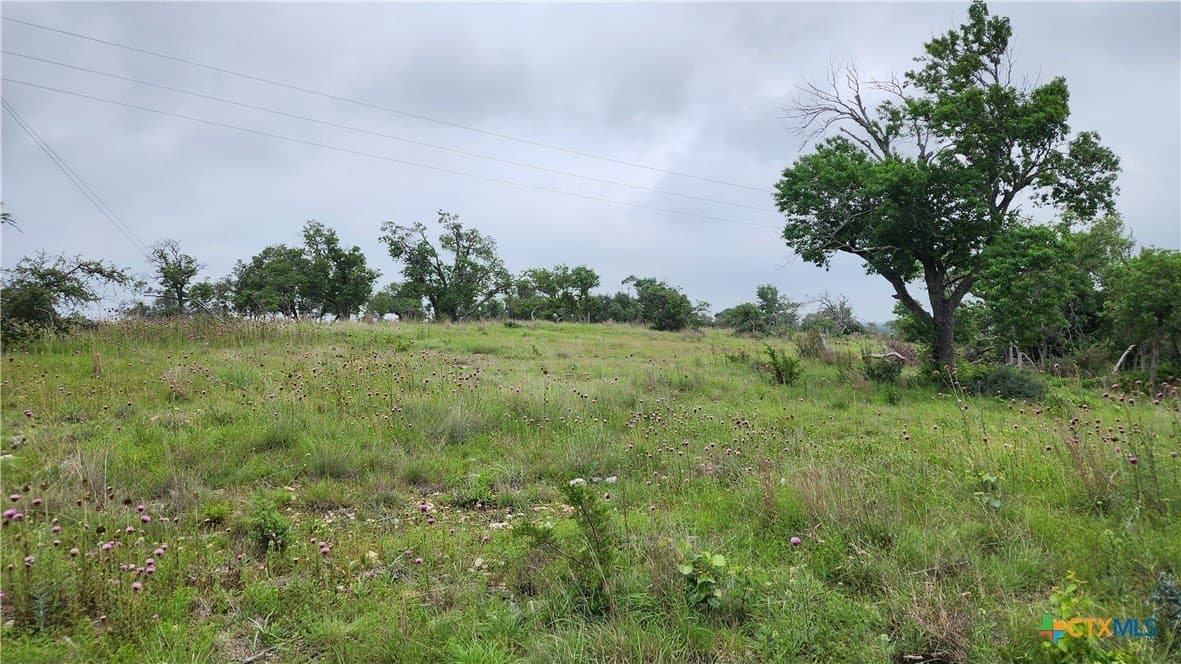 5.23 acres in Gillespie County - photo 6