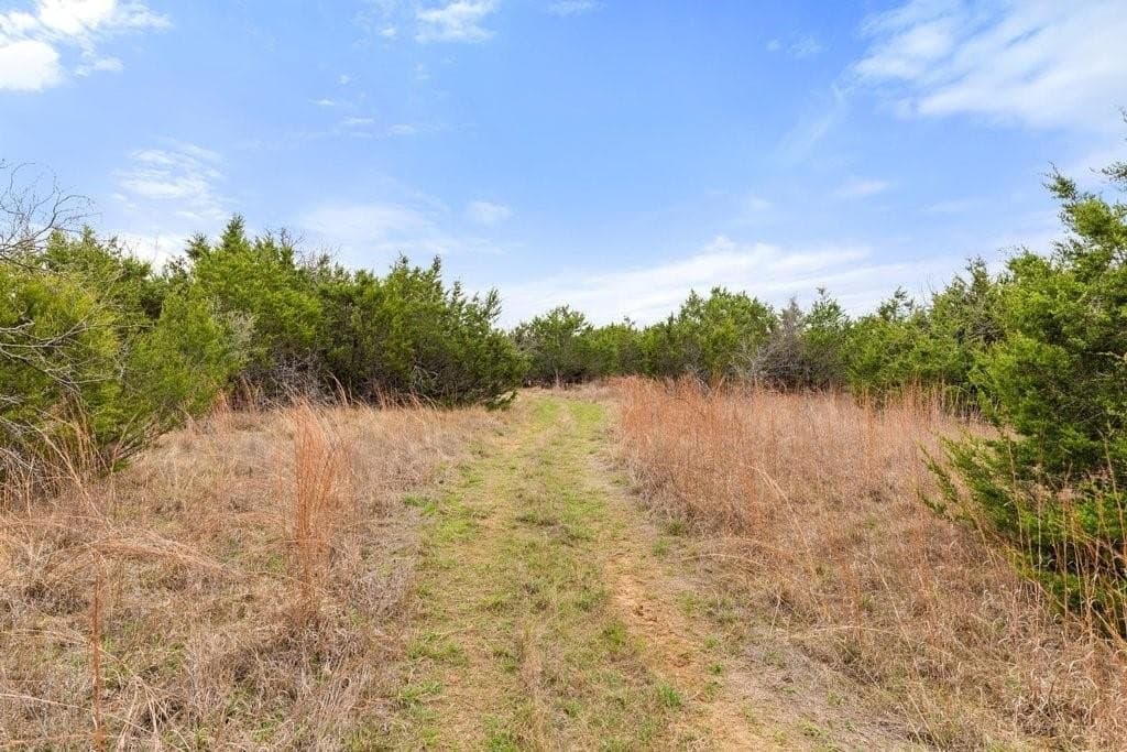 20.02 acres in Bosque County - photo 17