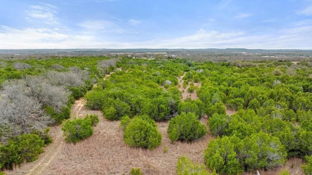 20.02 acres in Bosque County - photo 7