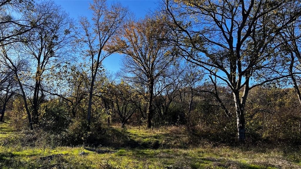 1.25 acres in Kaufman County - photo 10