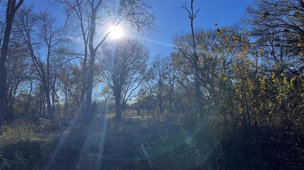 1.25 acres in Kaufman County - photo 9