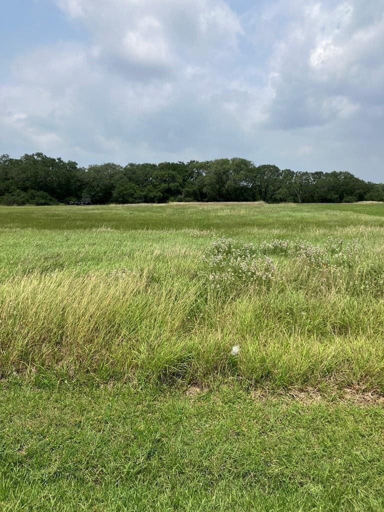 1 acres in Texas County - photo 2