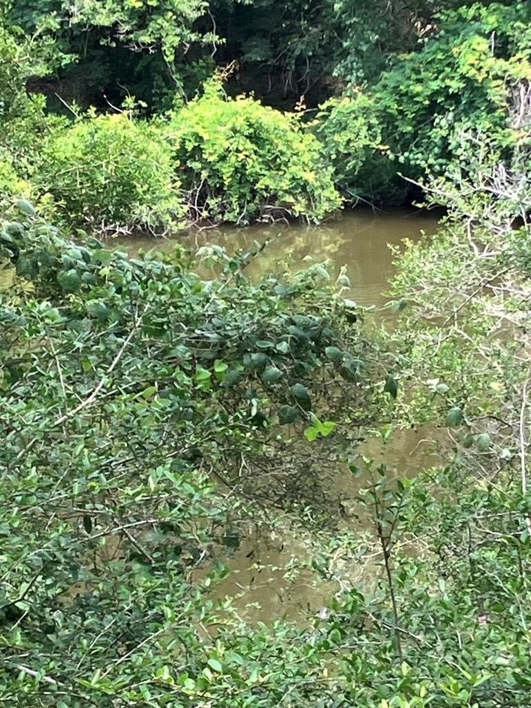 1 acres in Texas County - photo 3