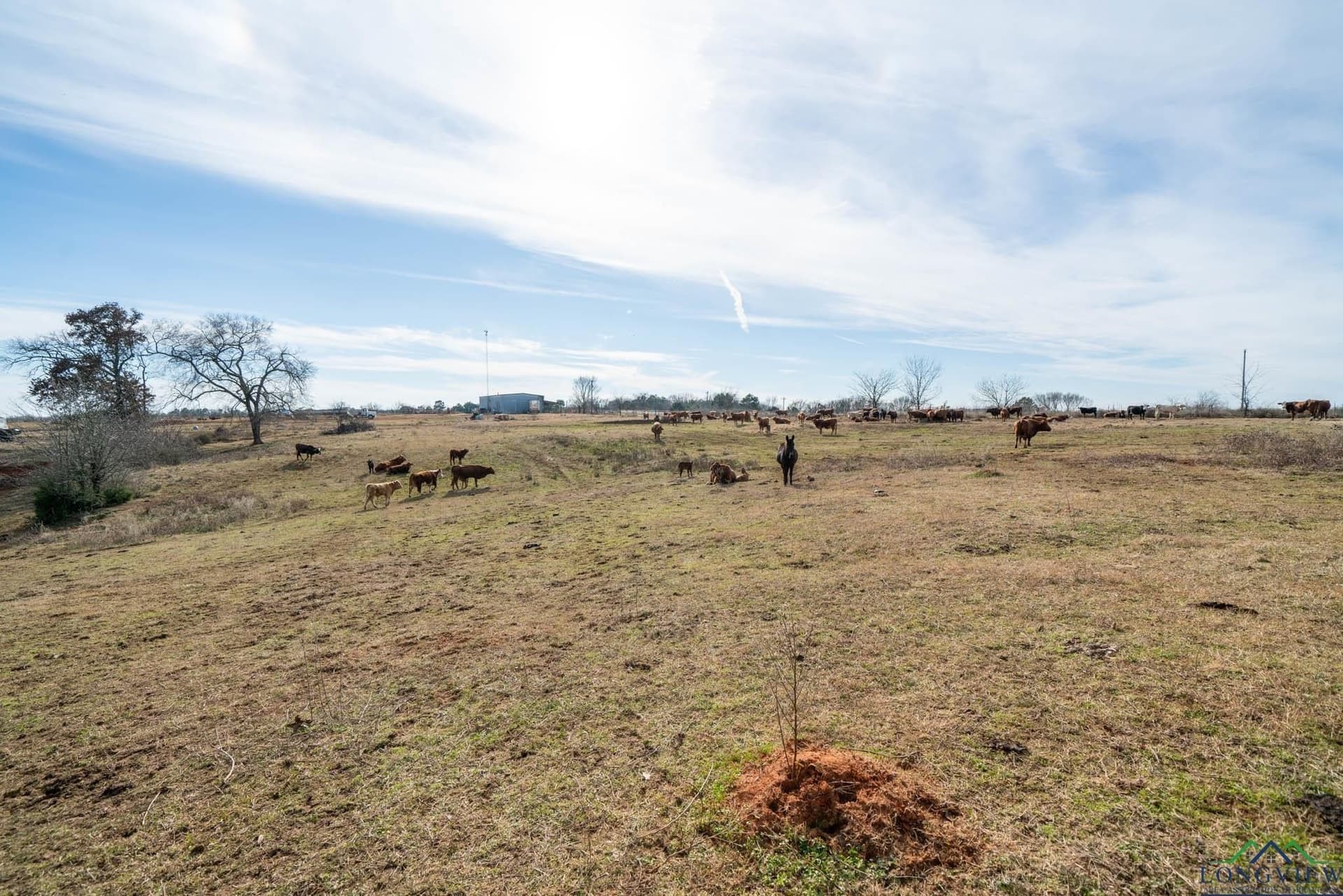 98.71 acres in Texas County - photo 4