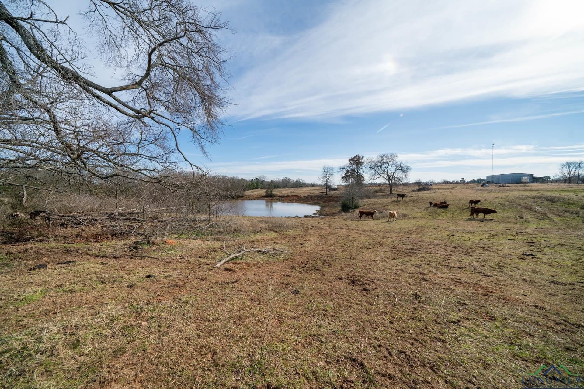 98.71 acres in Texas County - photo 6