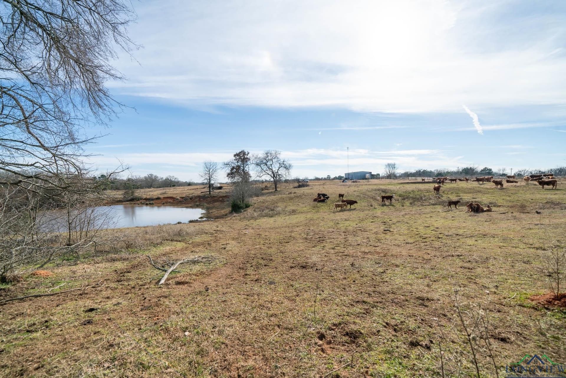 13304 N Hwy 259