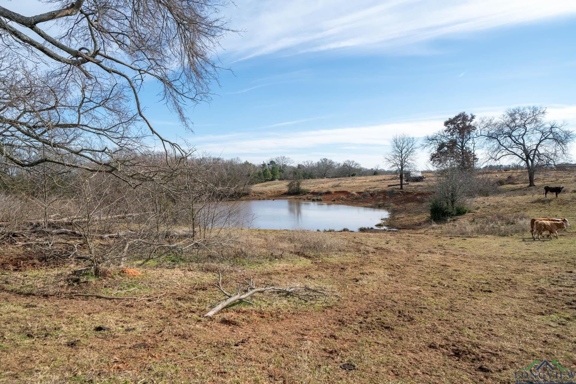 98.71 acres in Texas County - photo 5