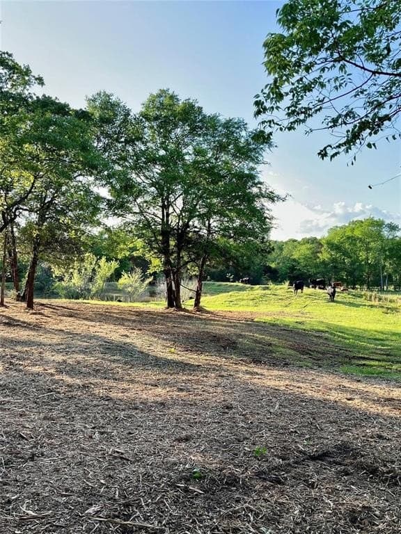 65 acres in Henderson County - photo 5