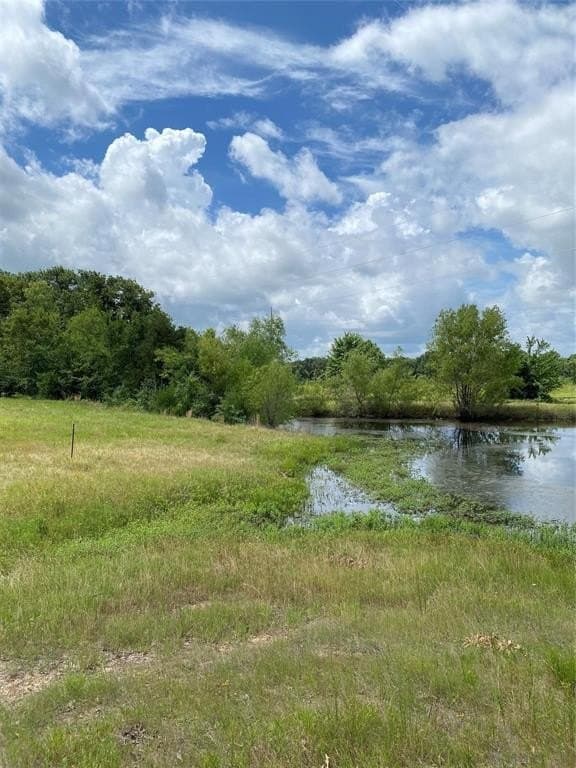 65 acres in Henderson County - photo 10