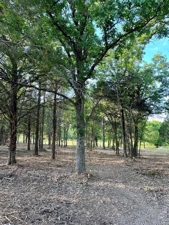 65 acres in Henderson County - photo 3