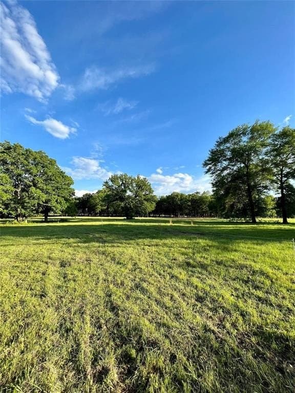 65 acres in Henderson County - photo 4