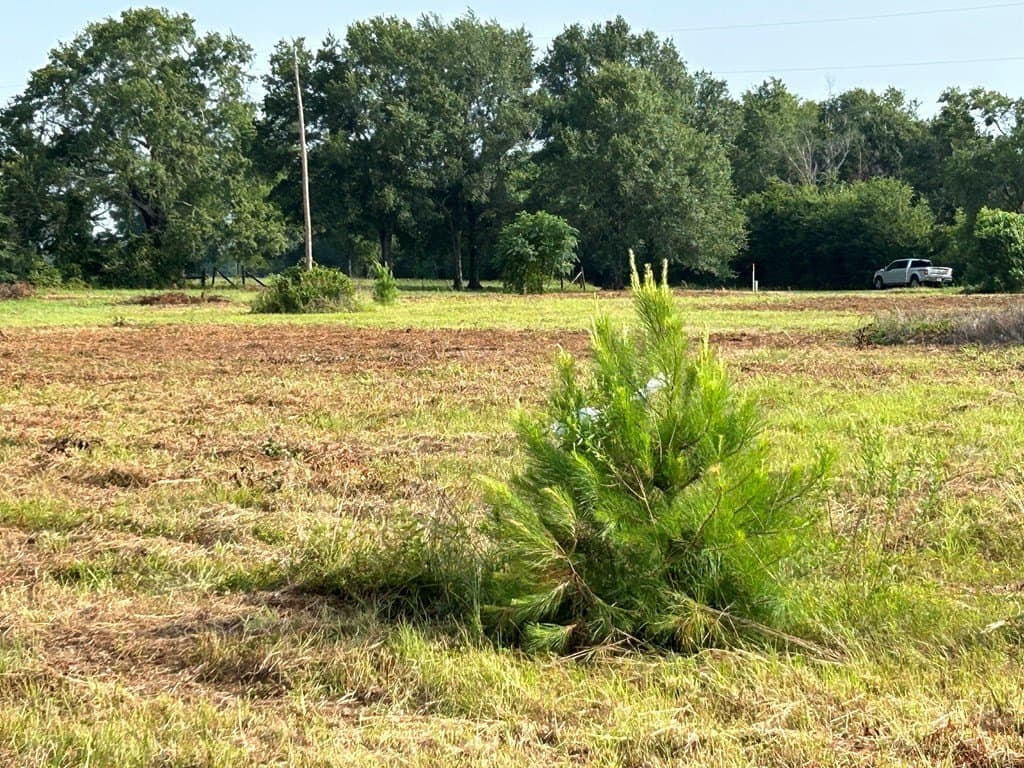 6.96 acres in ANDERSON County - photo 25