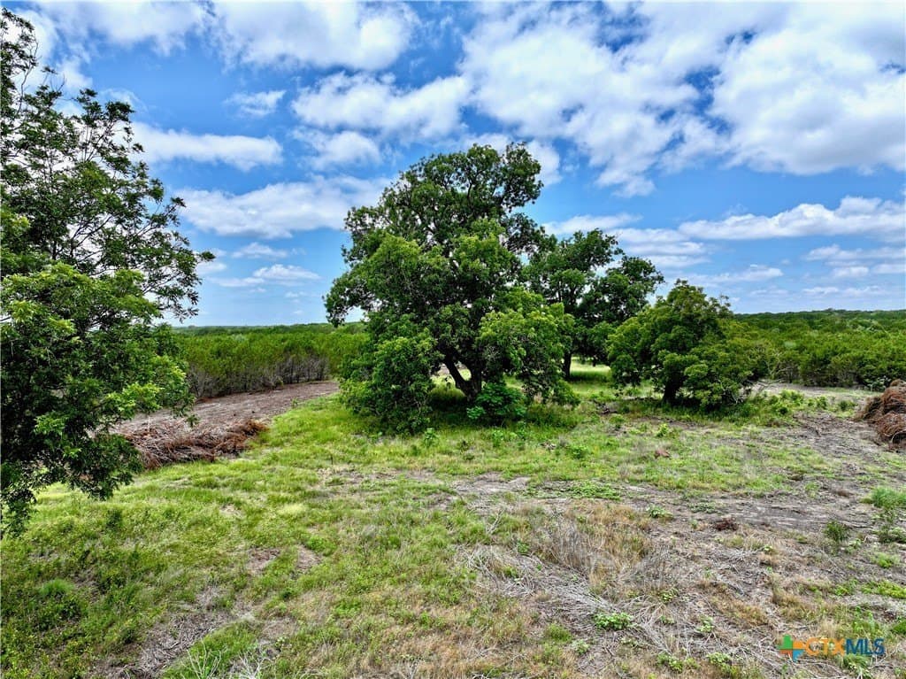 139.09 acres in Lampasas County - photo 15
