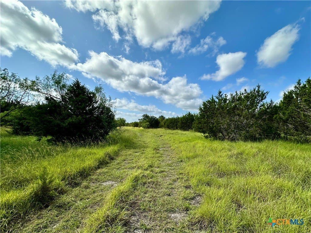 139.09 acres in Lampasas County - photo 6