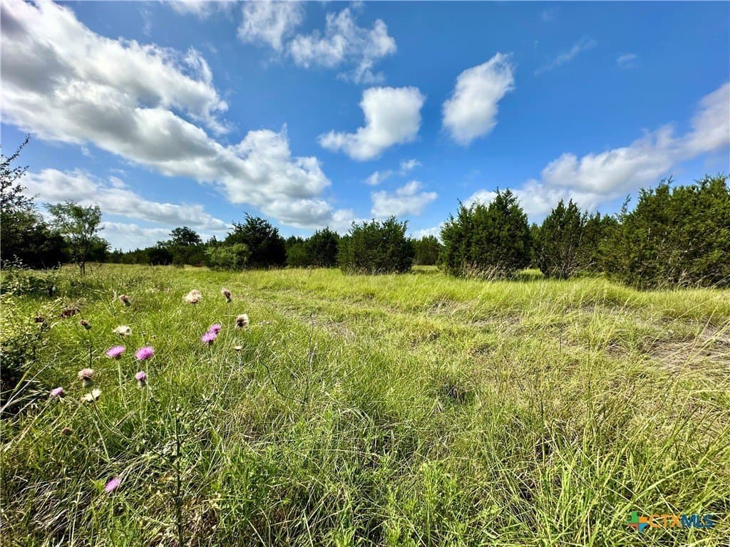 139.09 acres in Lampasas County - photo 7