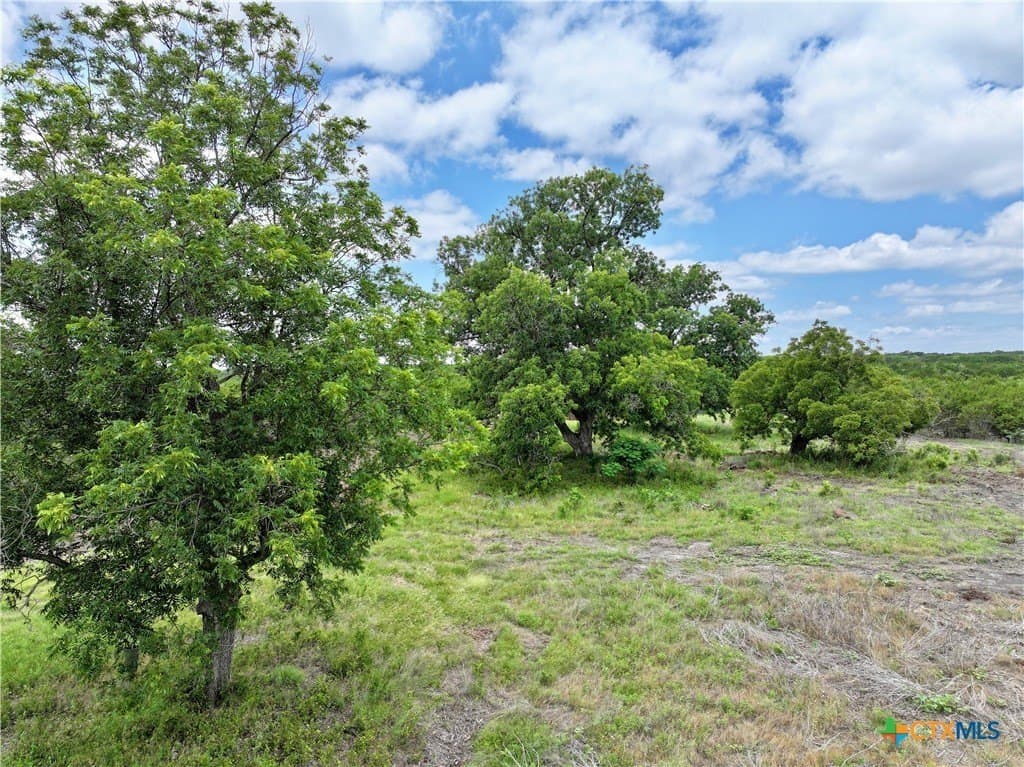 139.09 acres in Lampasas County - photo 14