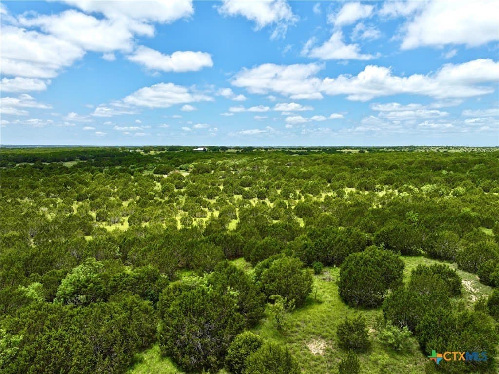 139.09 acres in Lampasas County - photo 8