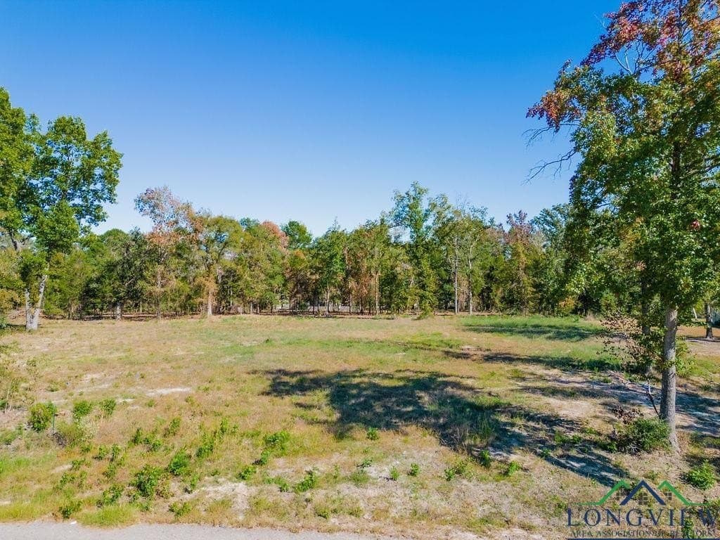 1.42 acres in Texas County - photo 3