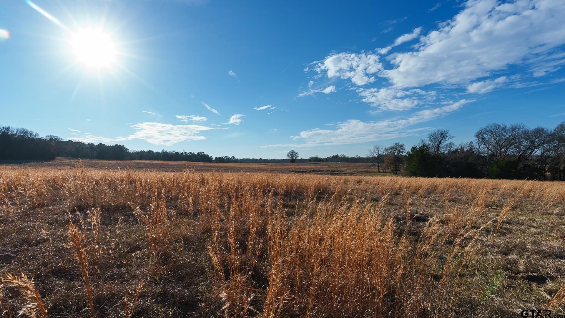 546.5 acres in Smith County - photo 31
