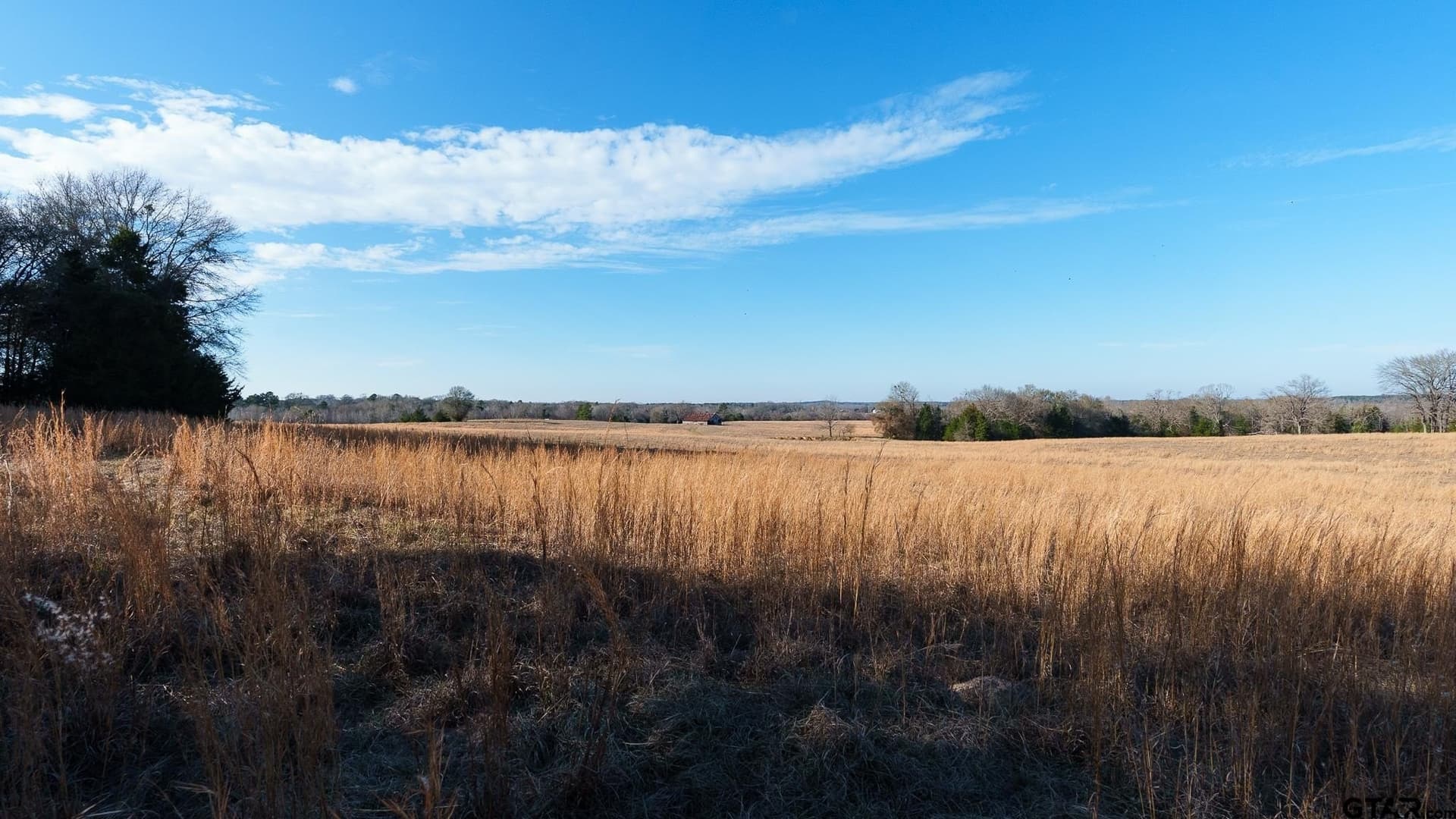 546.5 acres in Smith County - photo 30