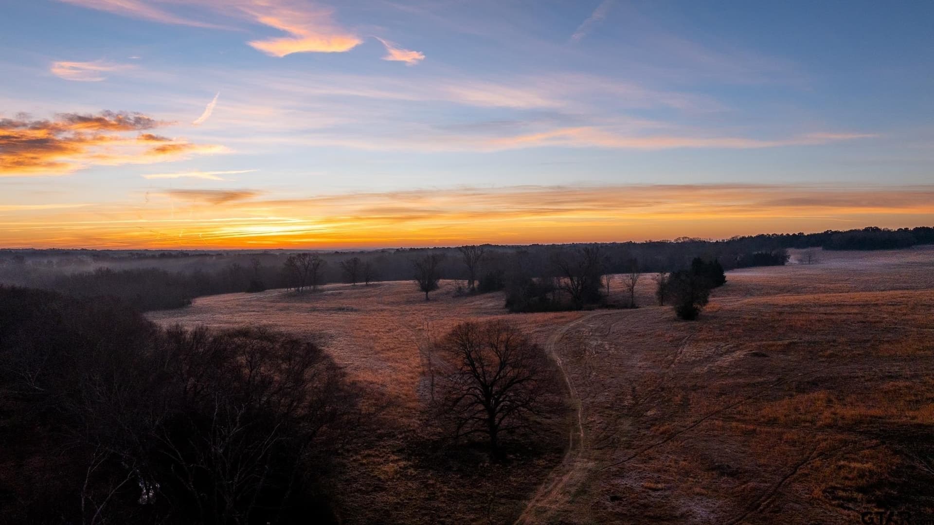 546.5 acres in Smith County - photo 8