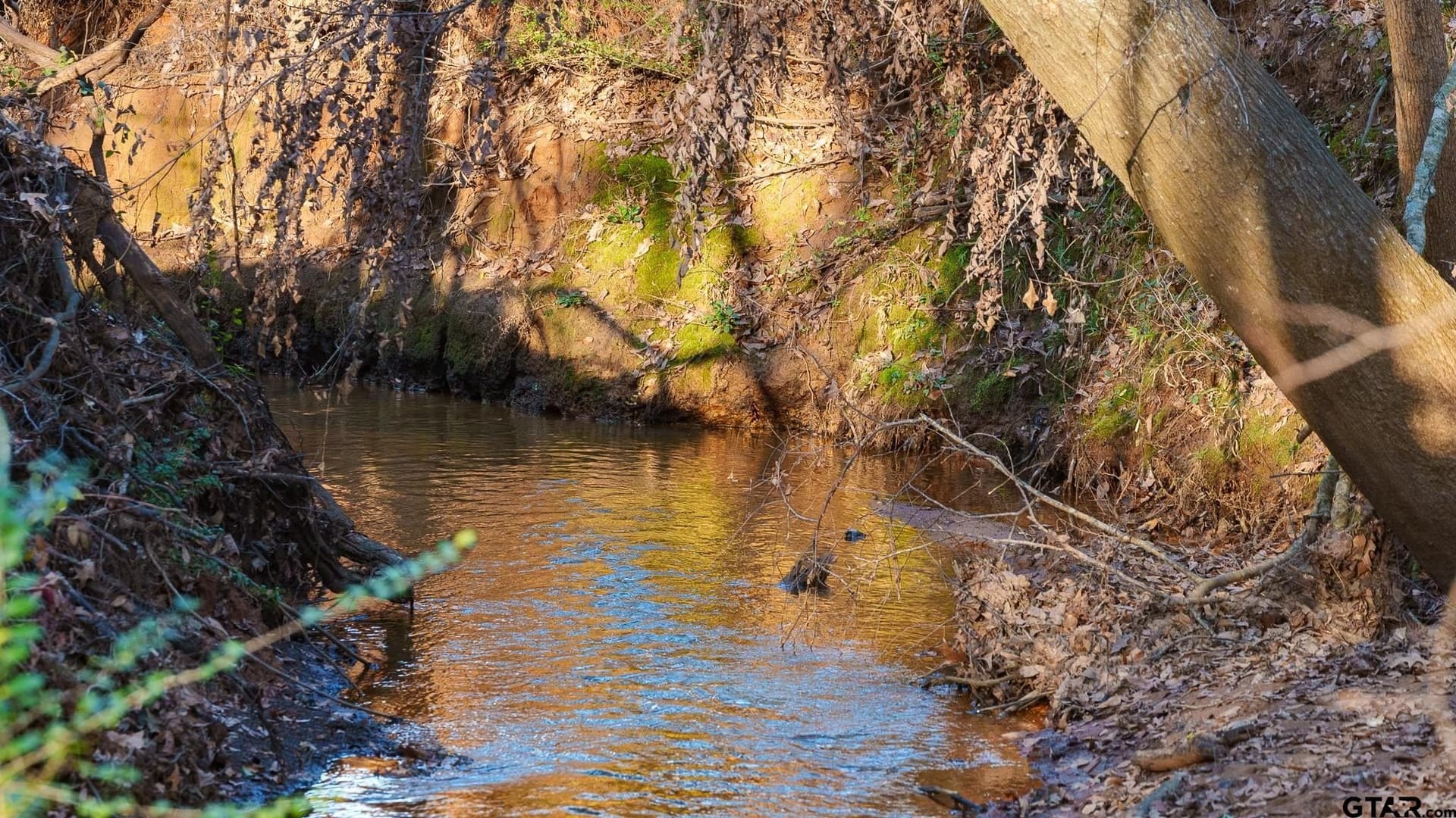 546.5 acres in Smith County - photo 35