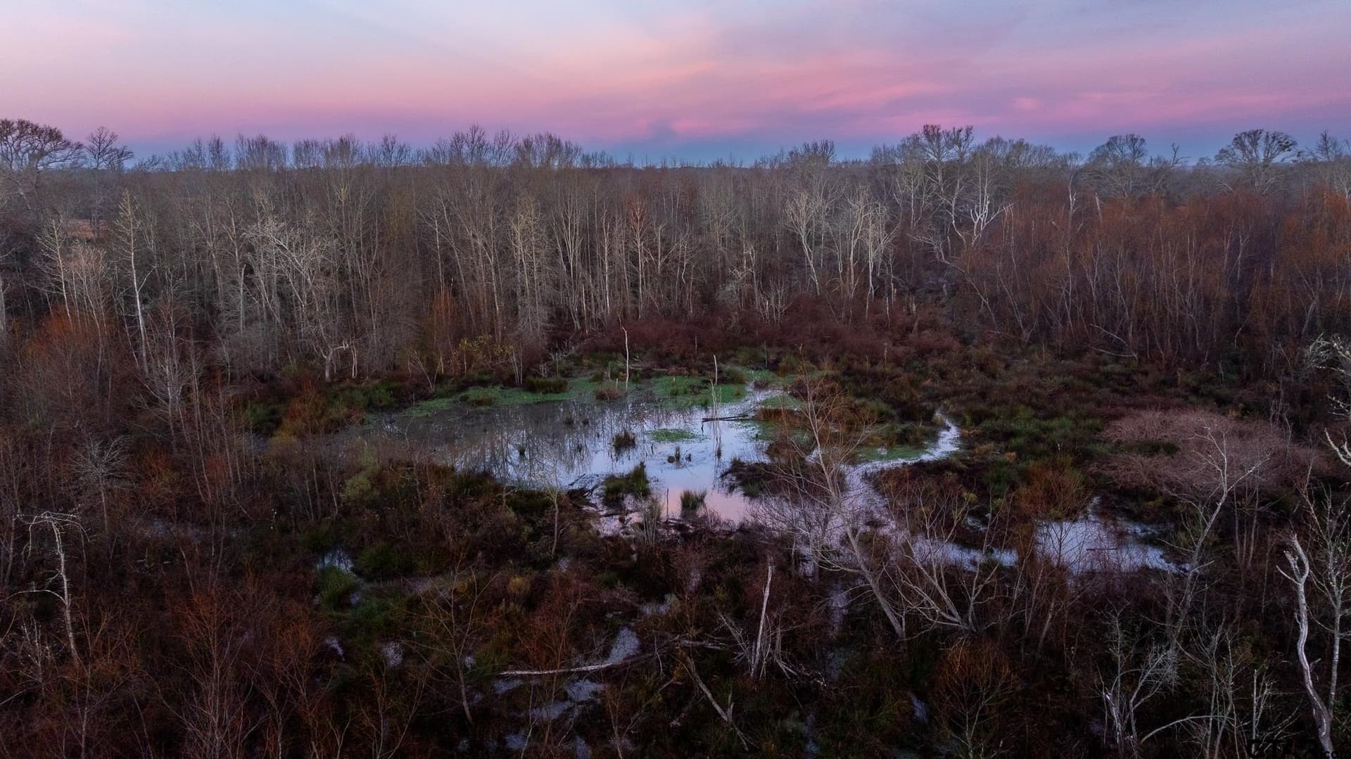 546.5 acres in Smith County - photo 10