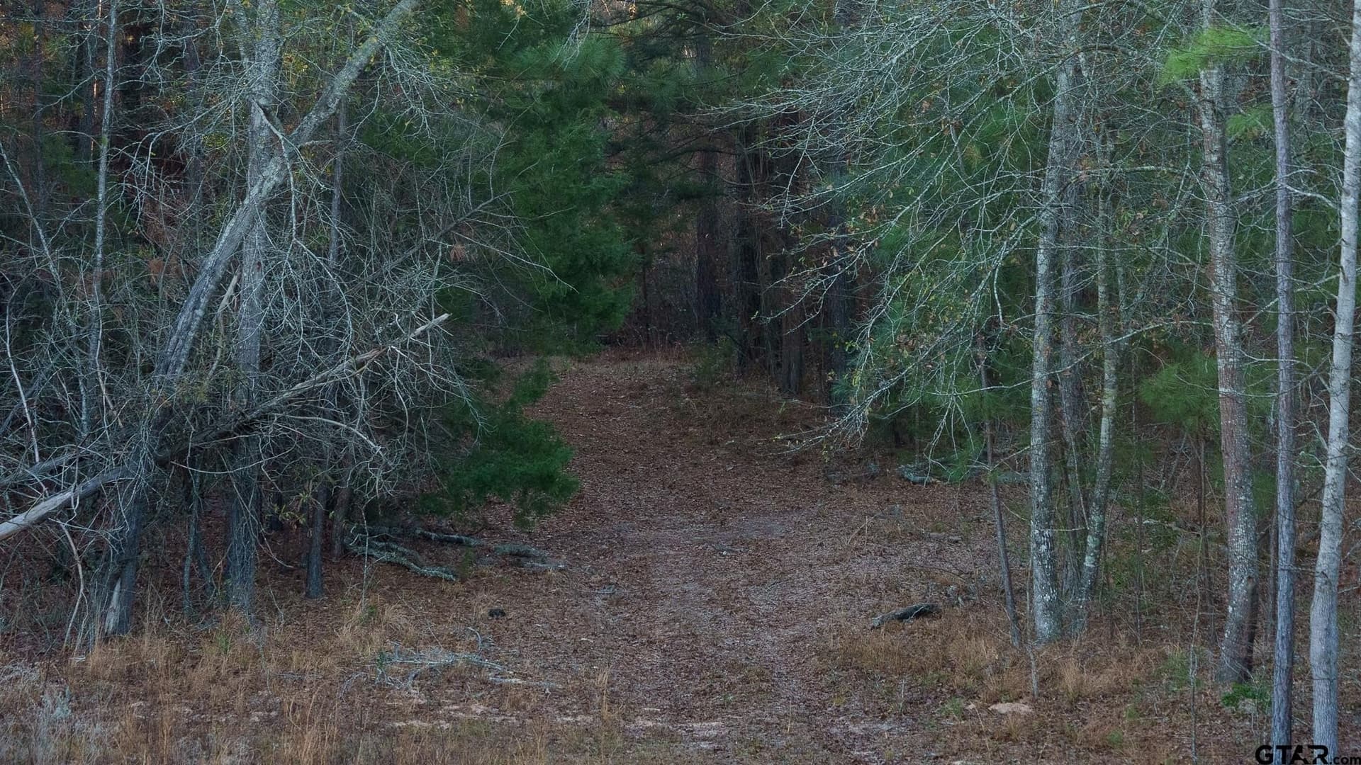 546.5 acres in Smith County - photo 22