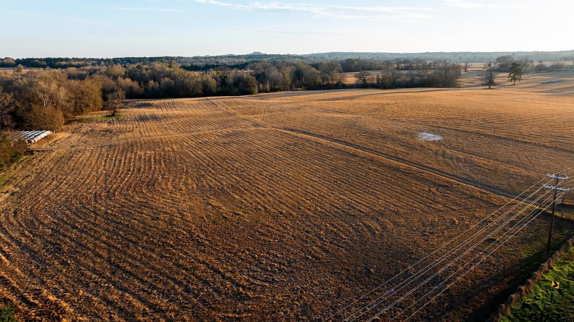 546.5 acres in Smith County - photo 41