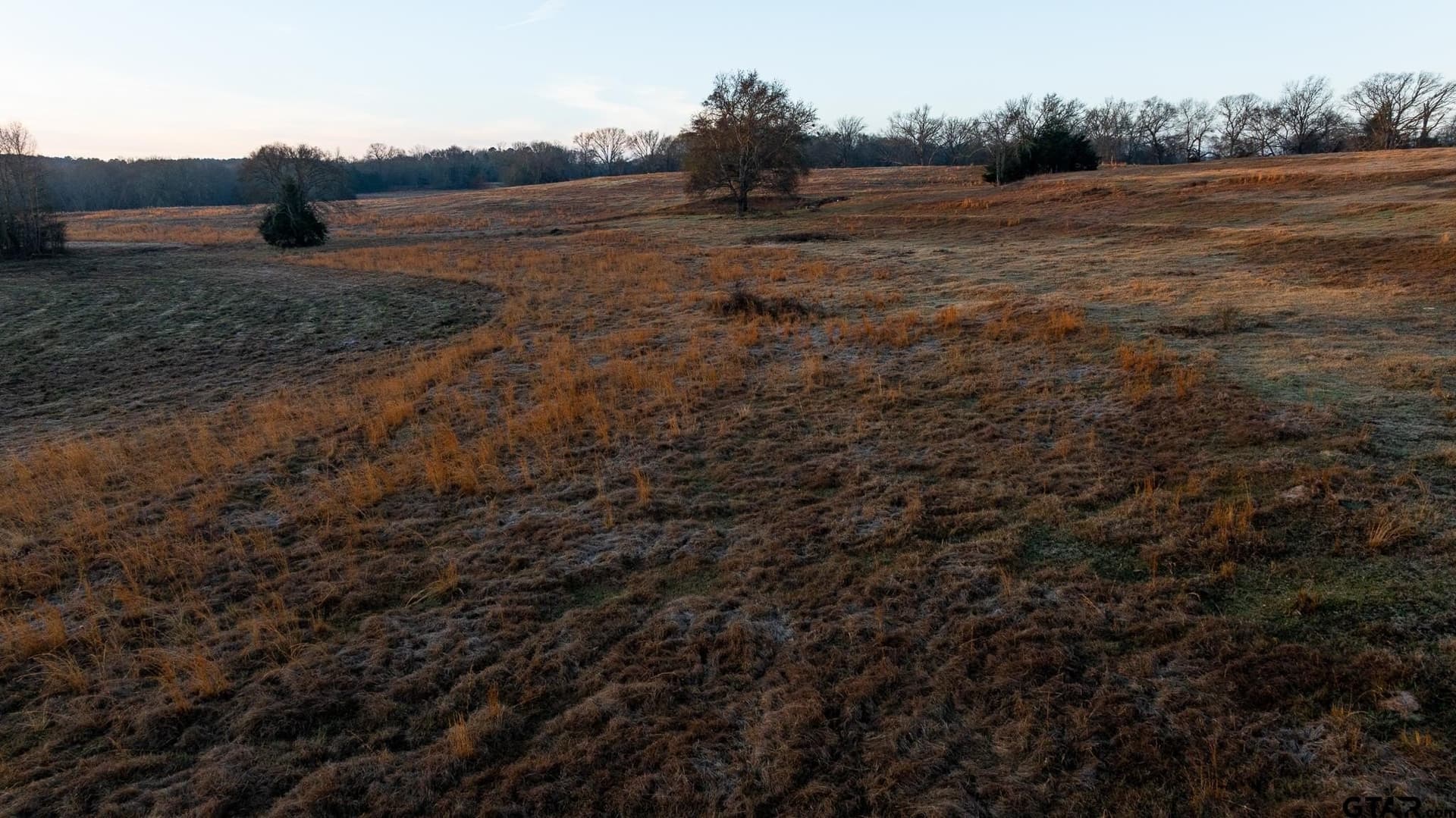 546.5 acres in Smith County - photo 13