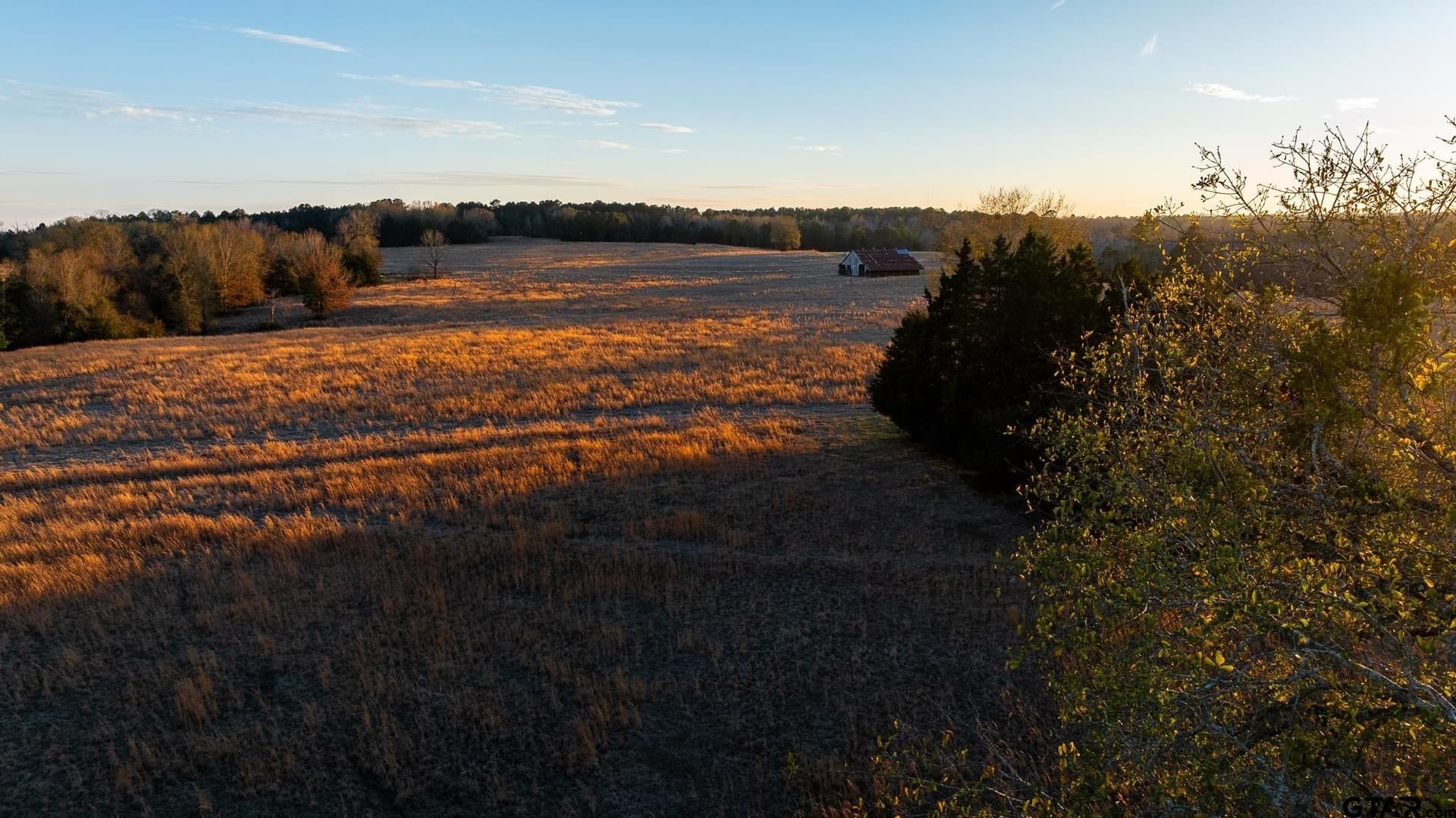 546.5 acres in Smith County - photo 42