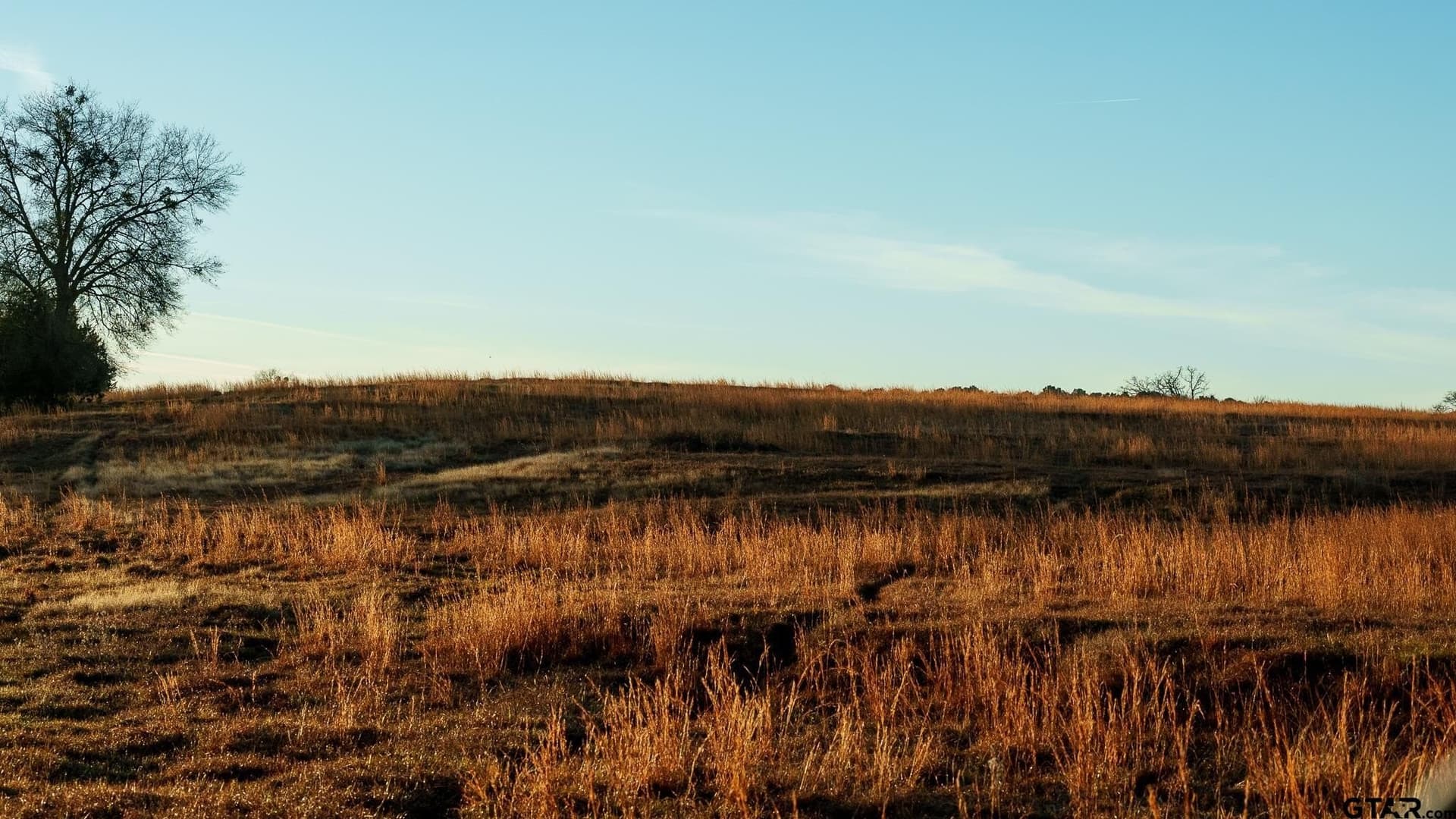 546.5 acres in Smith County - photo 19
