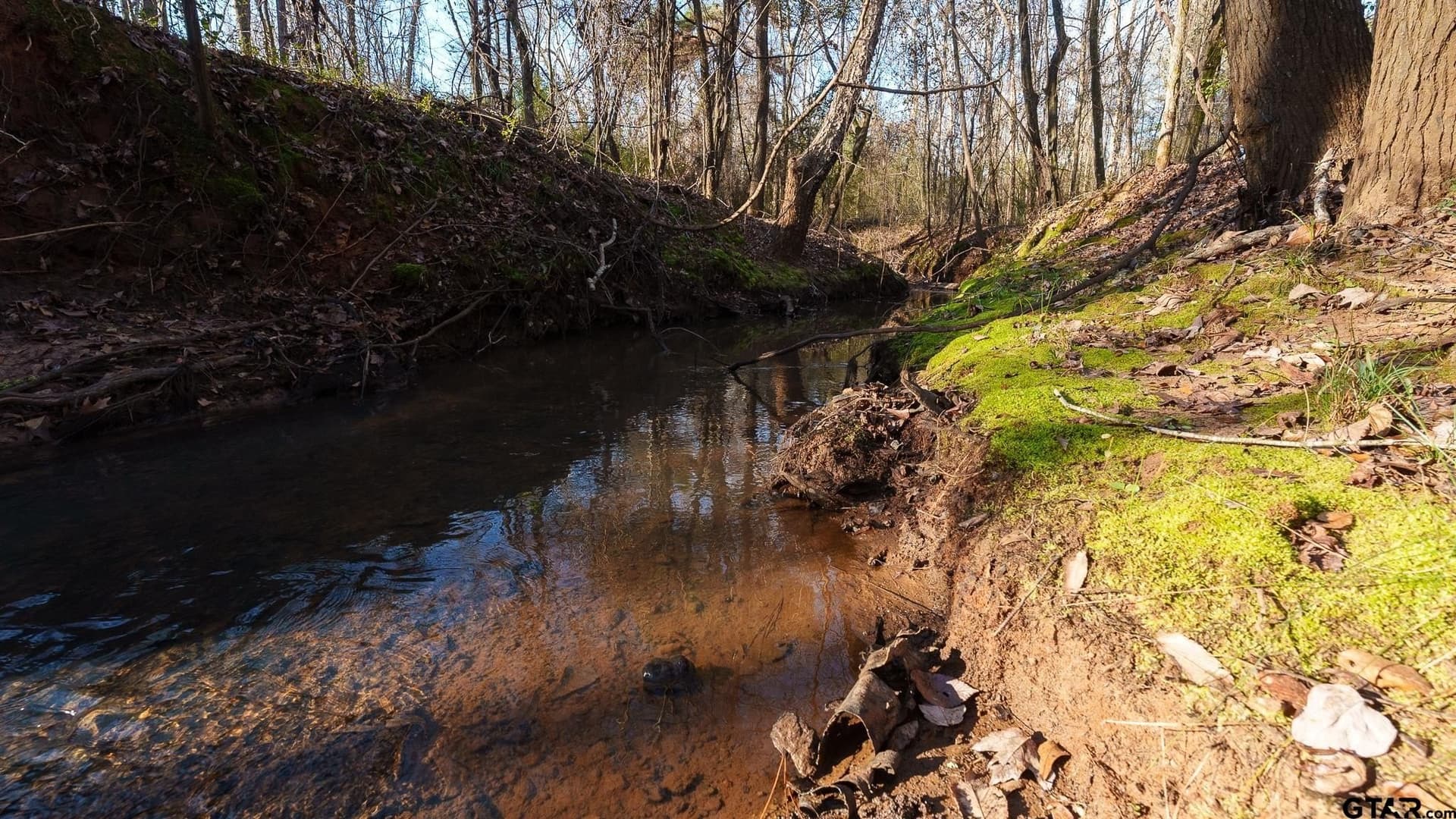 546.5 acres in Smith County - photo 27