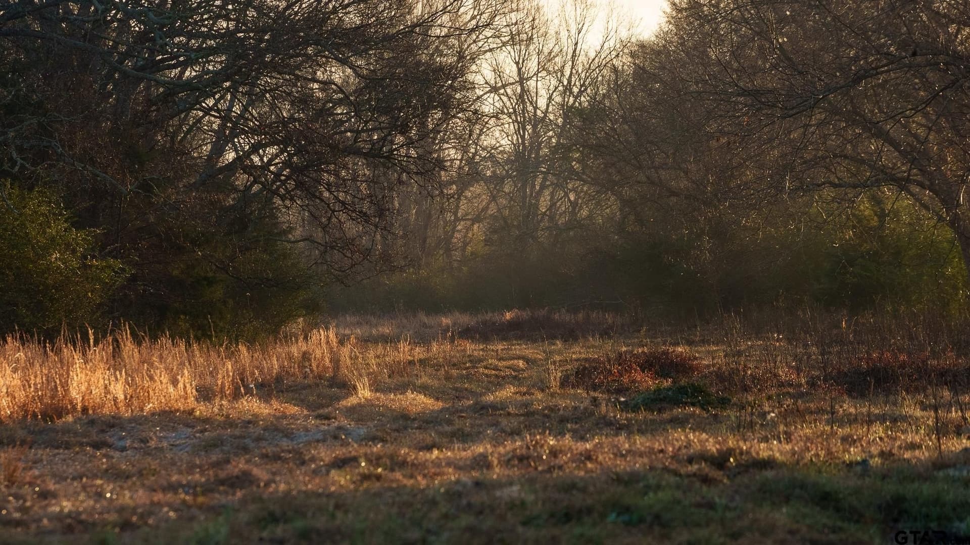 546.5 acres in Smith County - photo 16