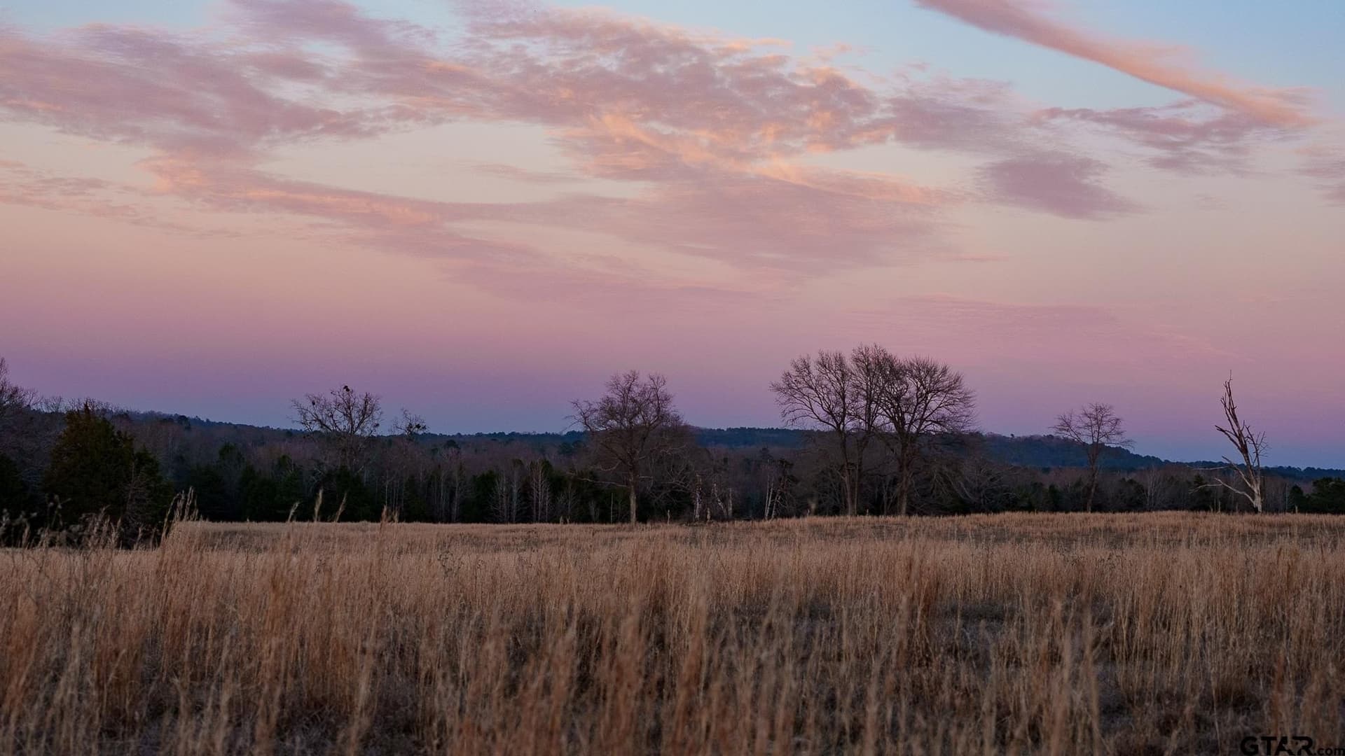 546.5 acres in Smith County - photo 4