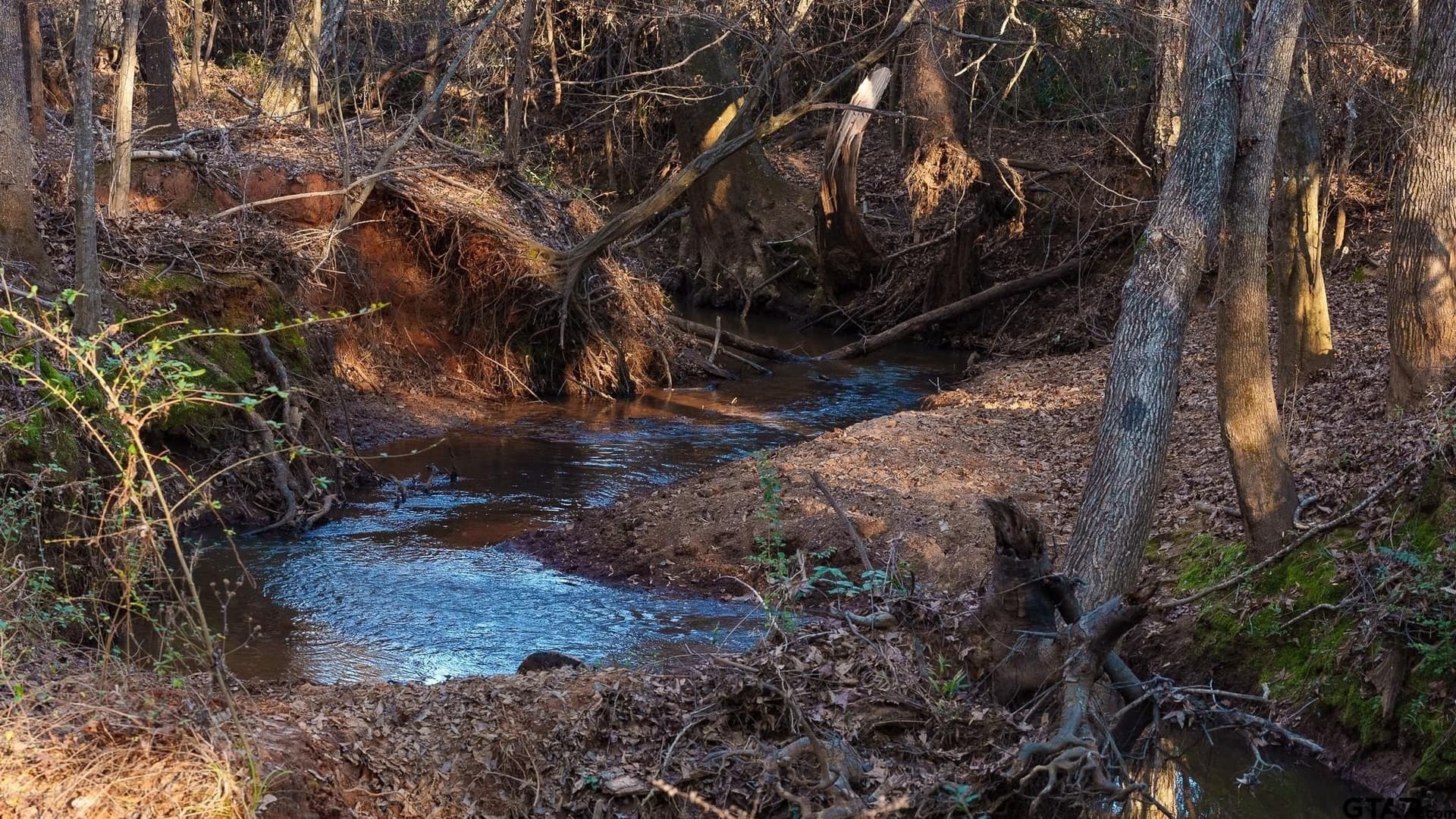 546.5 acres in Smith County - photo 34