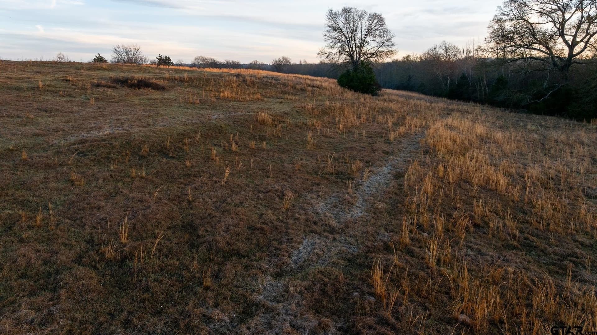 546.5 acres in Smith County - photo 15
