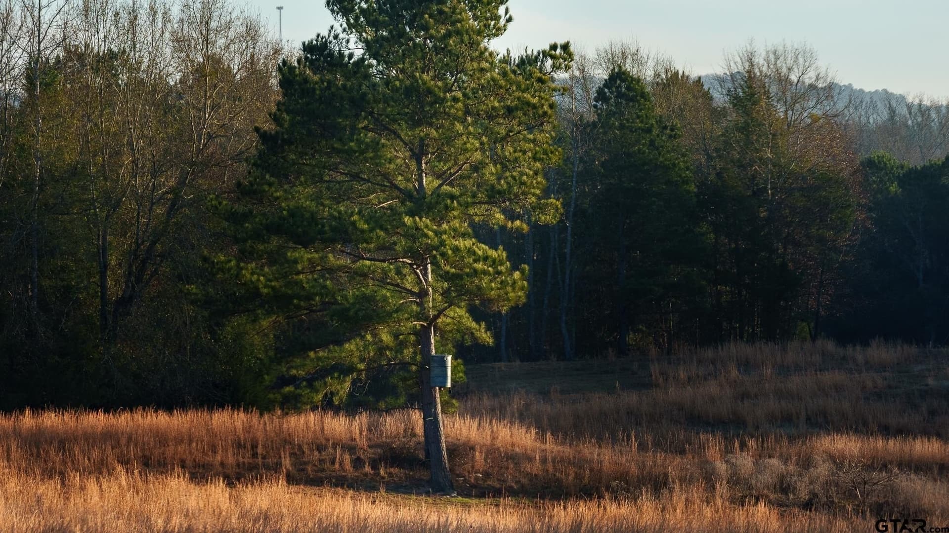 546.5 acres in Smith County - photo 20