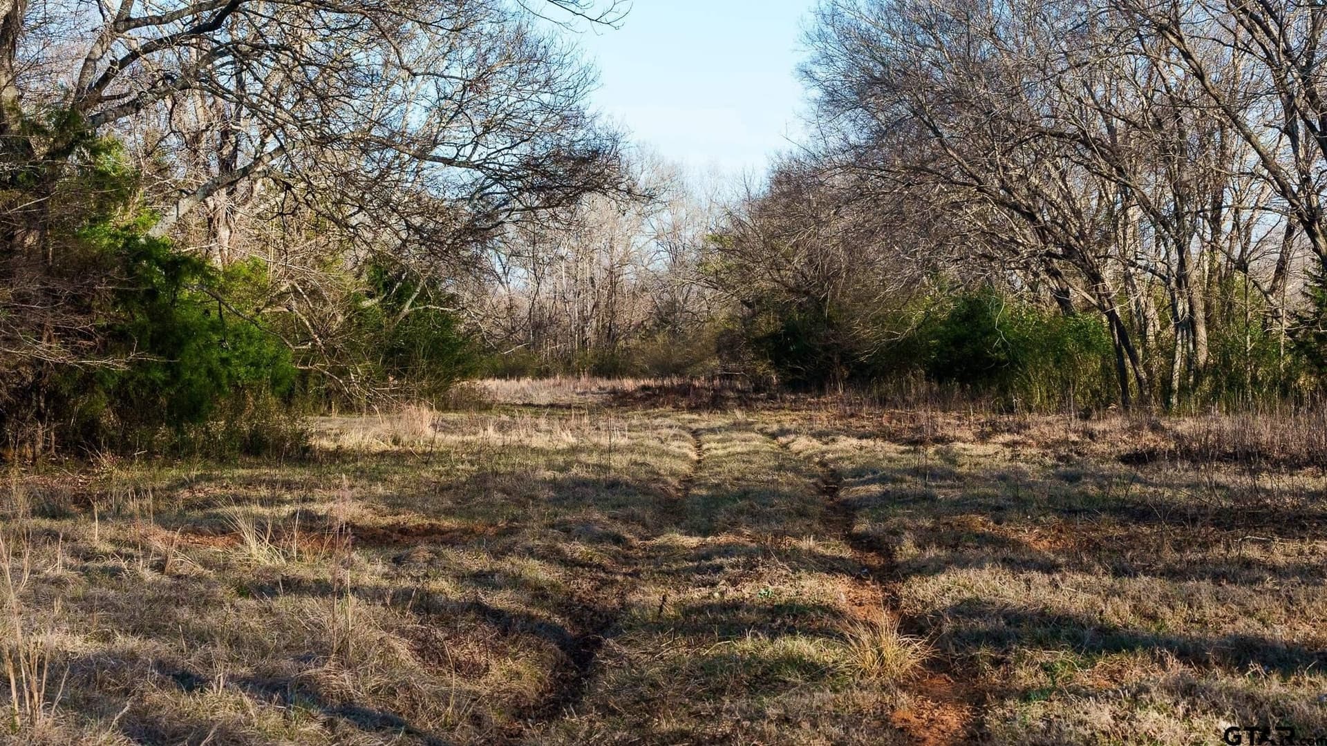 546.5 acres in Smith County - photo 33