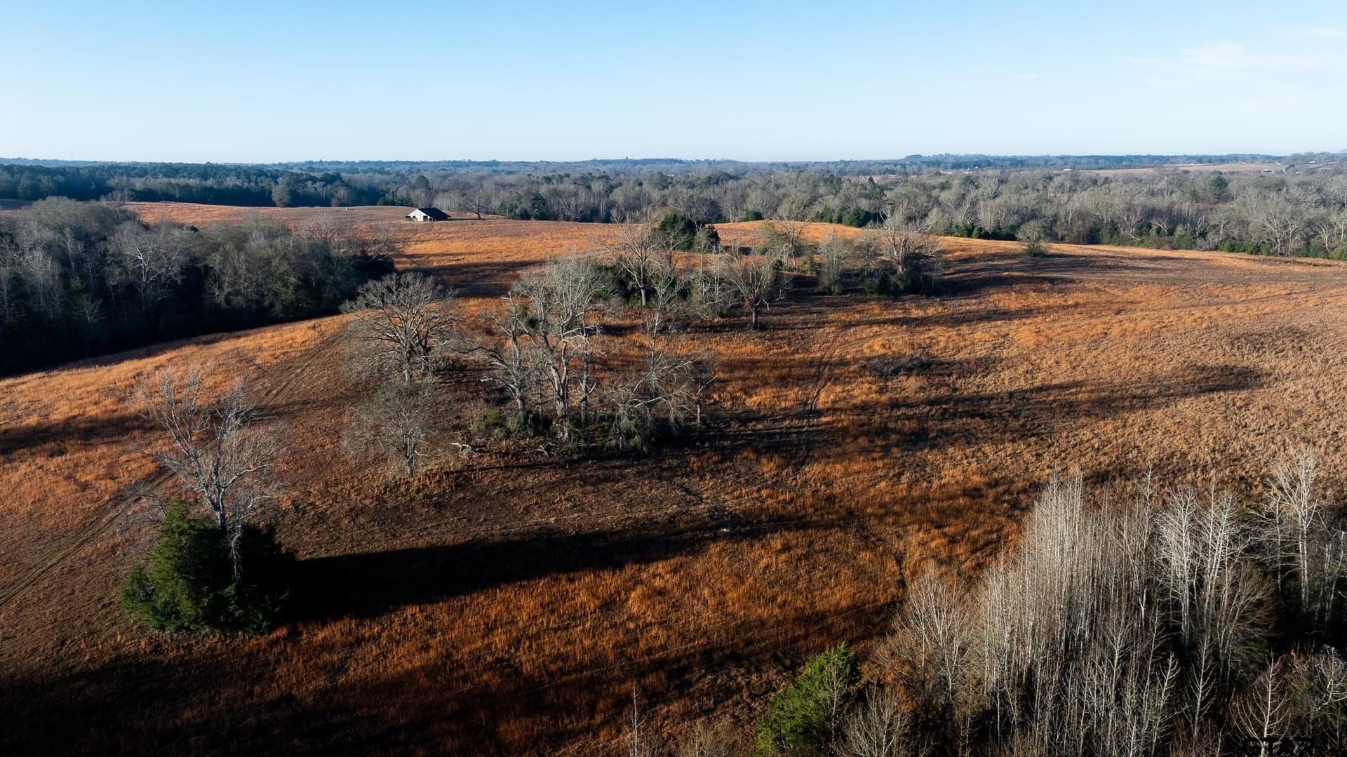 546.5 acres in Smith County - photo 25