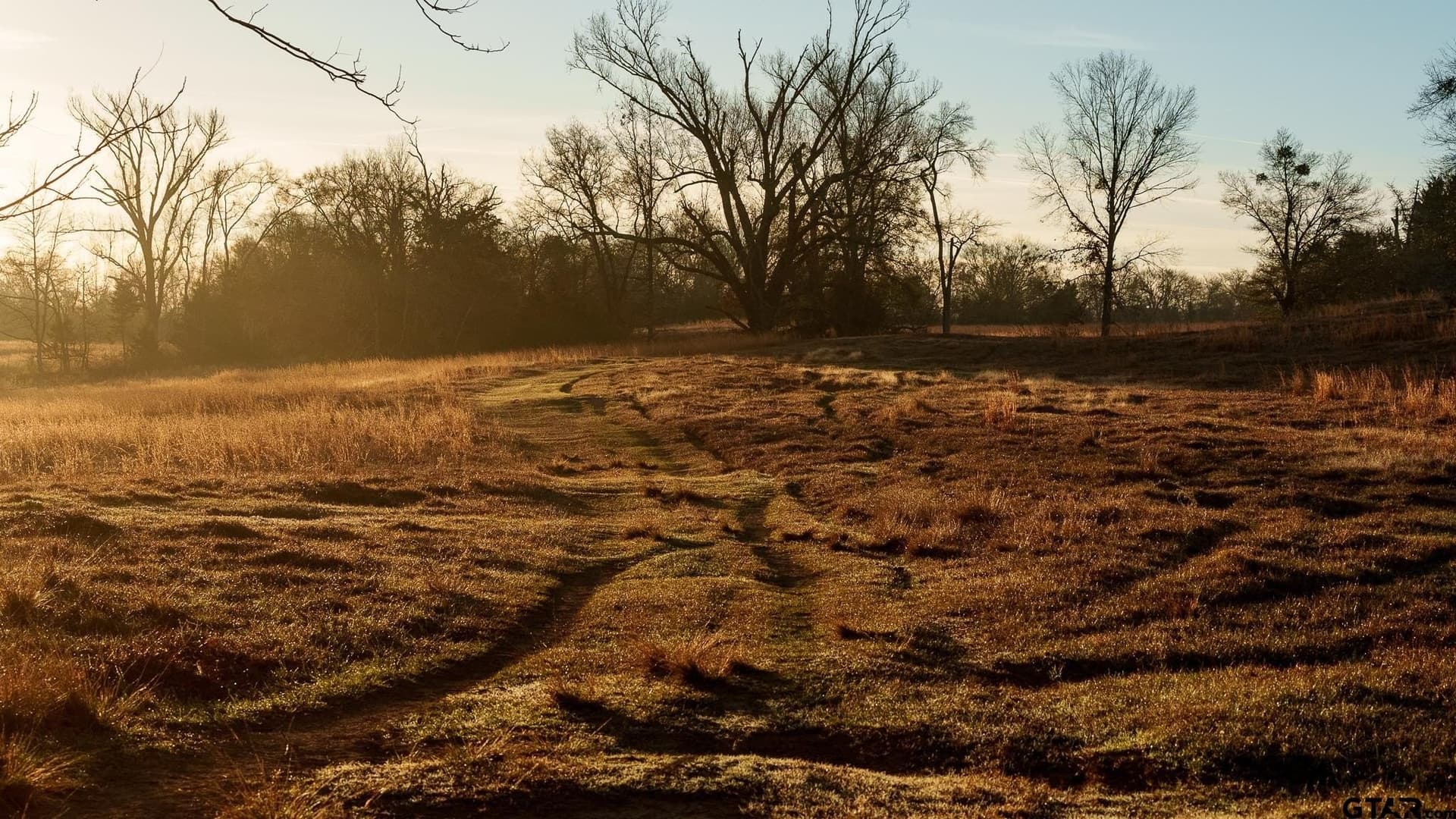 546.5 acres in Smith County - photo 18