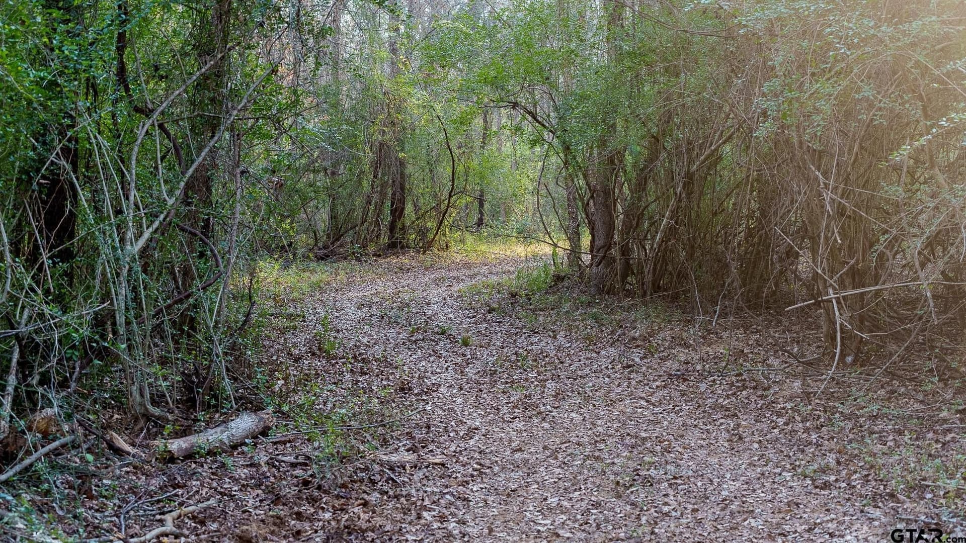546.5 acres in Smith County - photo 36