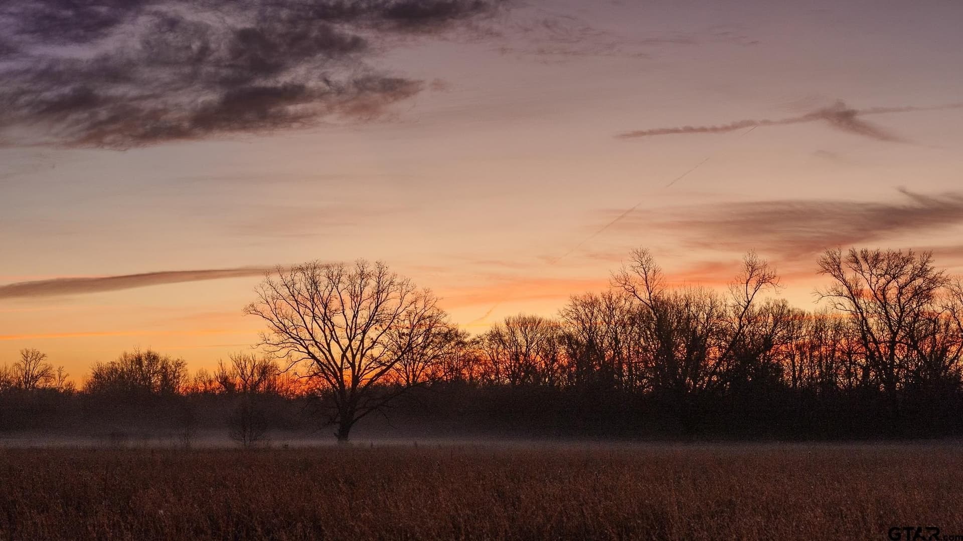 546.5 acres in Smith County - photo 5