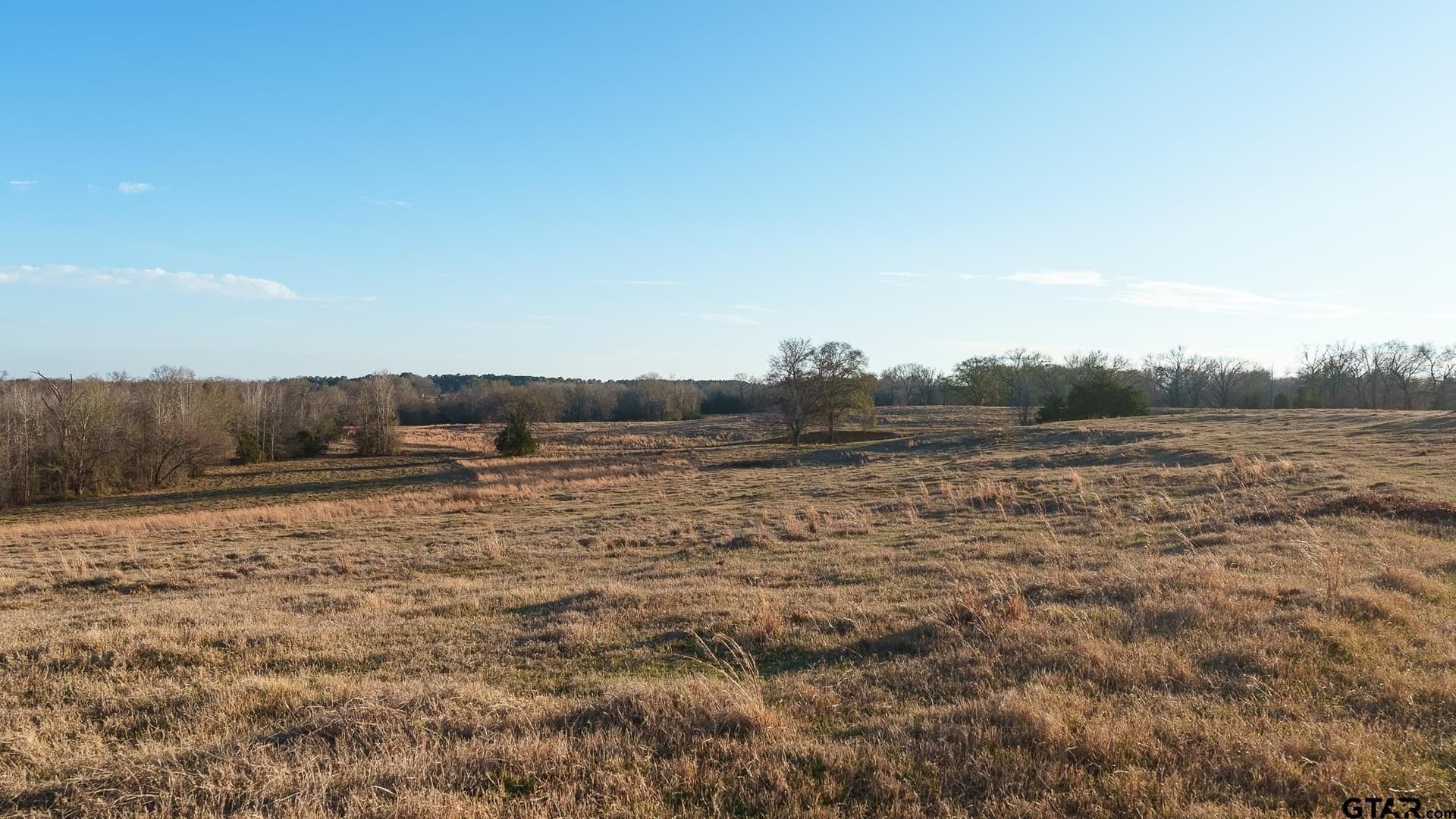 546.5 acres in Smith County - photo 38
