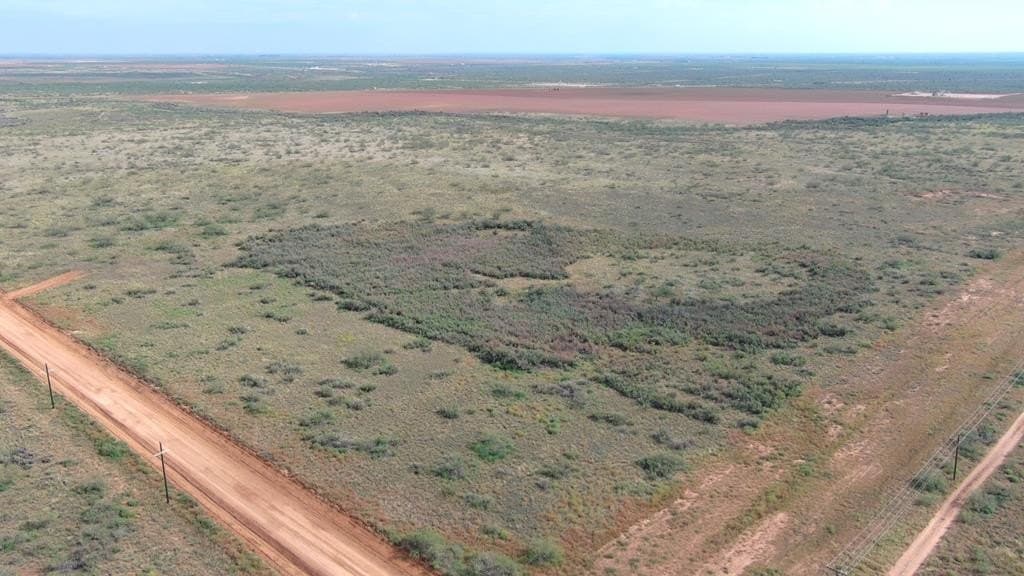 80 acres in Midland County - photo 4
