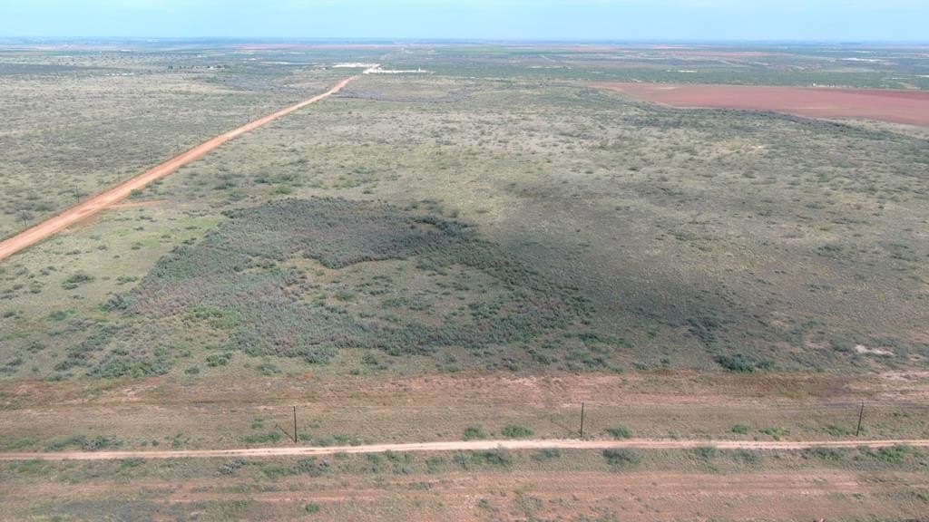 80 acres in Midland County - photo 7